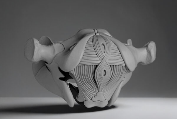 BECKENBODEN-THERAPIE